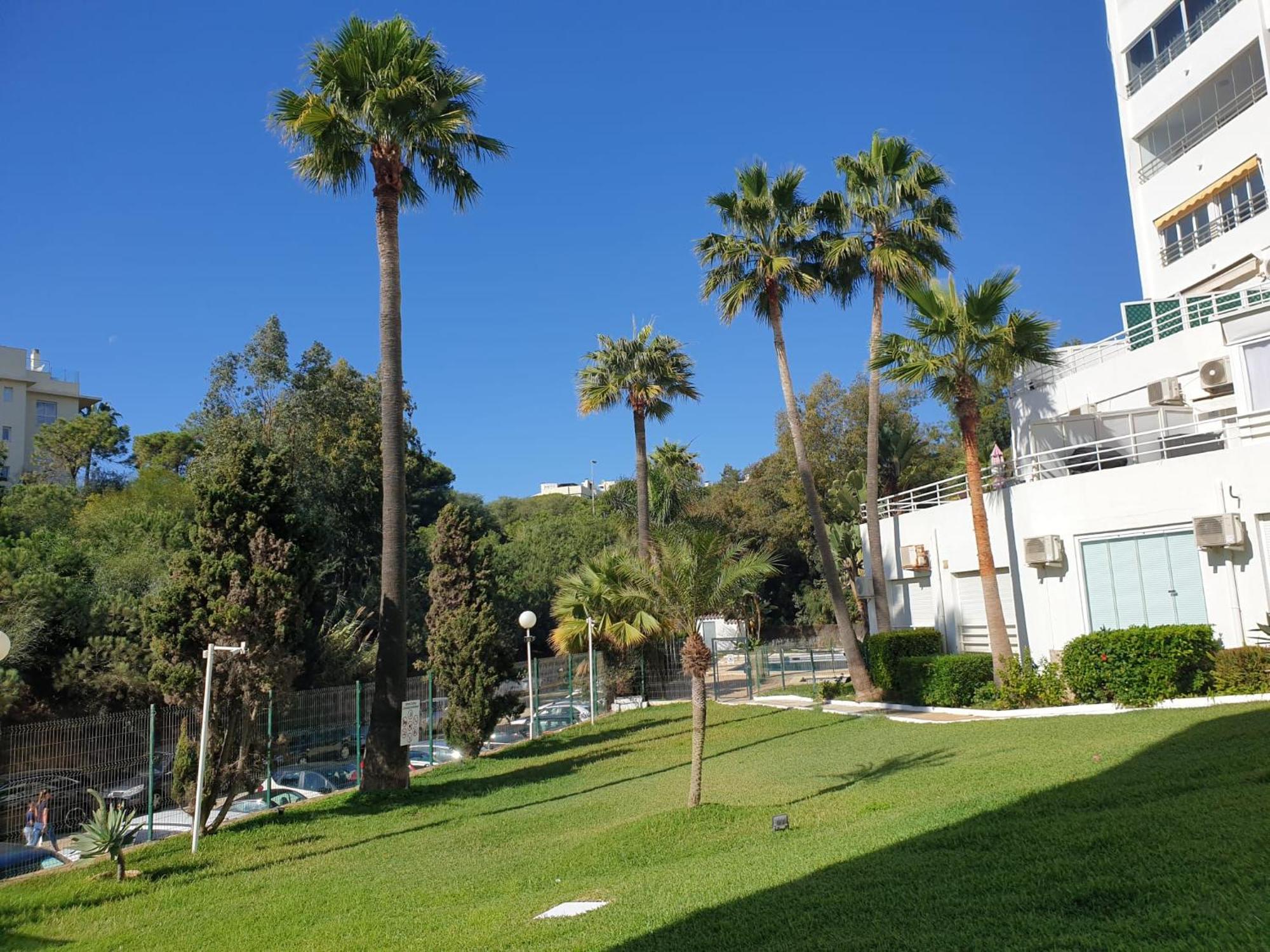 Estudio Con Increibles Vistas. Marbella Exterior foto